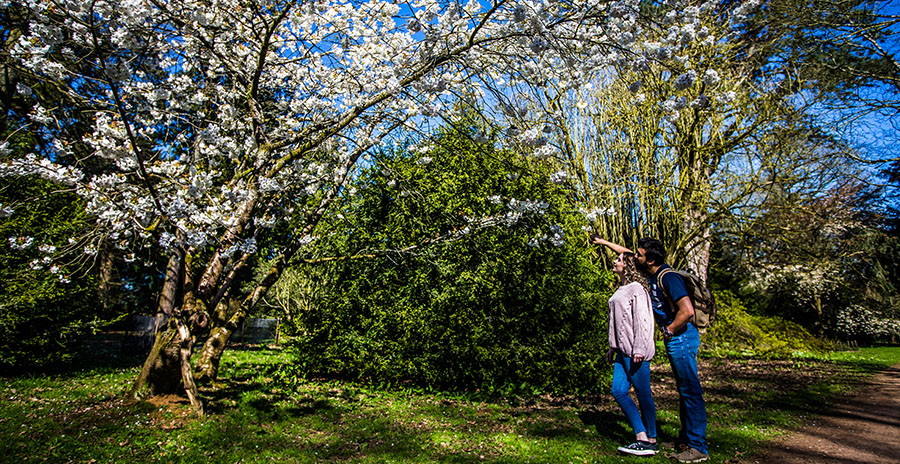 Westonbirt Arboretum (photo Johnny Hathaway)